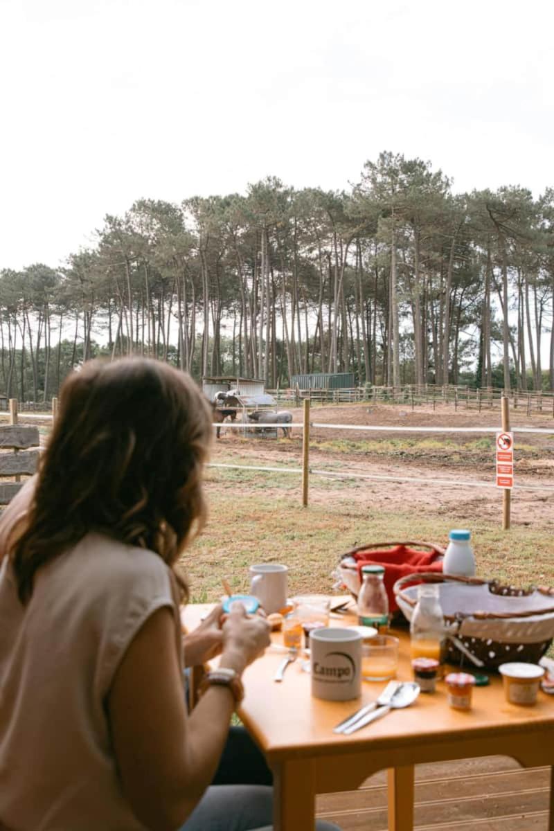 Hotel Roulottes Cocooning Au Coeur Des Landes Mées Exterior foto